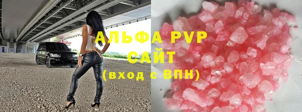 стаф Тутаев