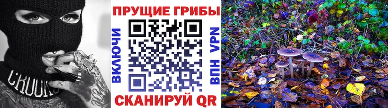 Галлюциногенные грибы ЛСД  Меленки 